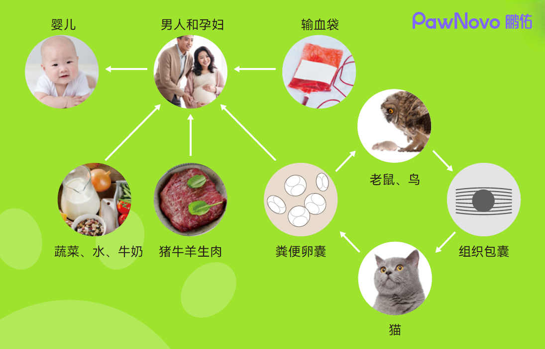 传播途径图.png