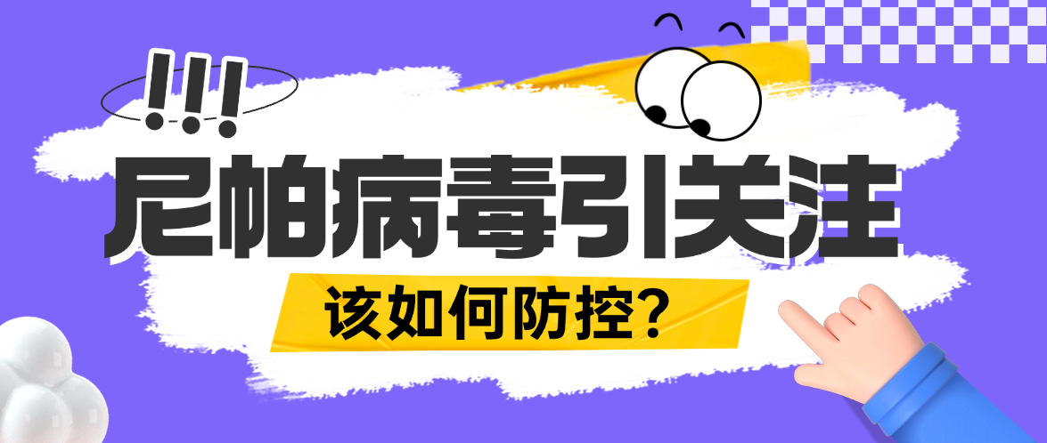 尼帕病毒引关注！疾控、海关、猪场如何守住第一道防线？